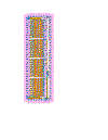 top2-1-col.gif (19422 bytes)